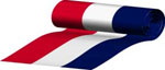 US bunting
